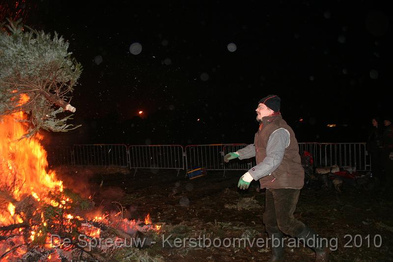 IMG_3527.JPG - de smijters van bomen en naalden