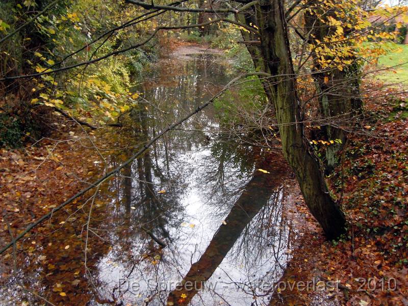 DSCN1566.JPG - Struikheidestraat (bufferbos)