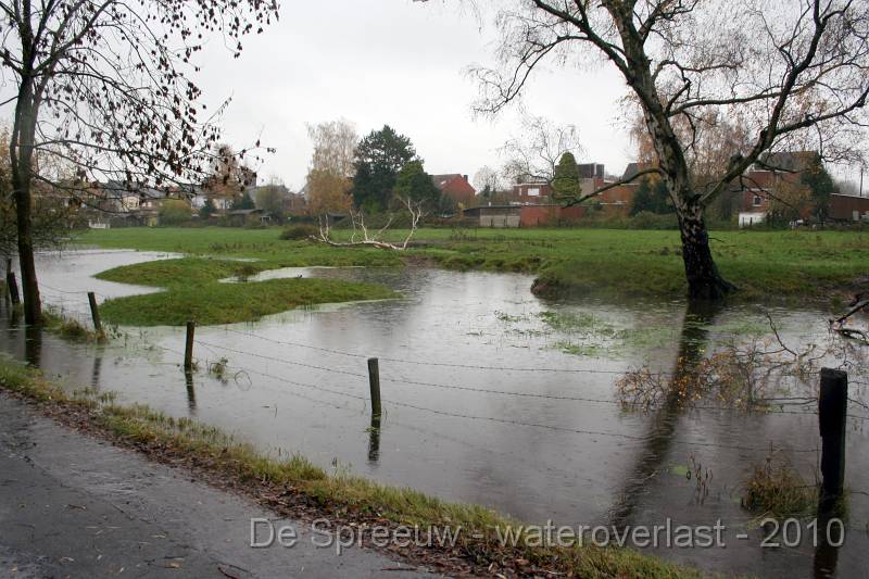 IMG_0440.JPG - Struikheidestraat (bomputten)